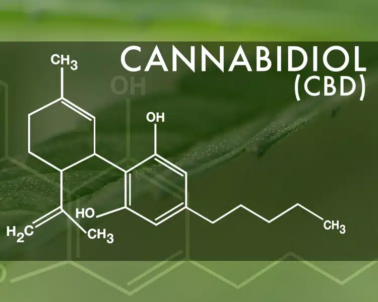 cannabis science.jpg