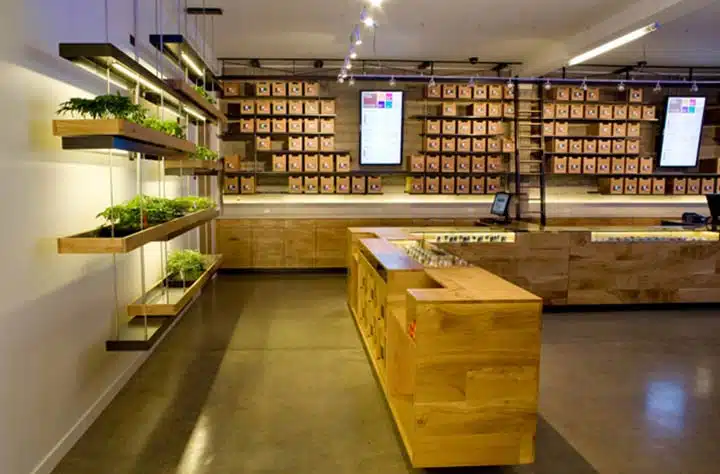 dispensary cannabis view.jpg